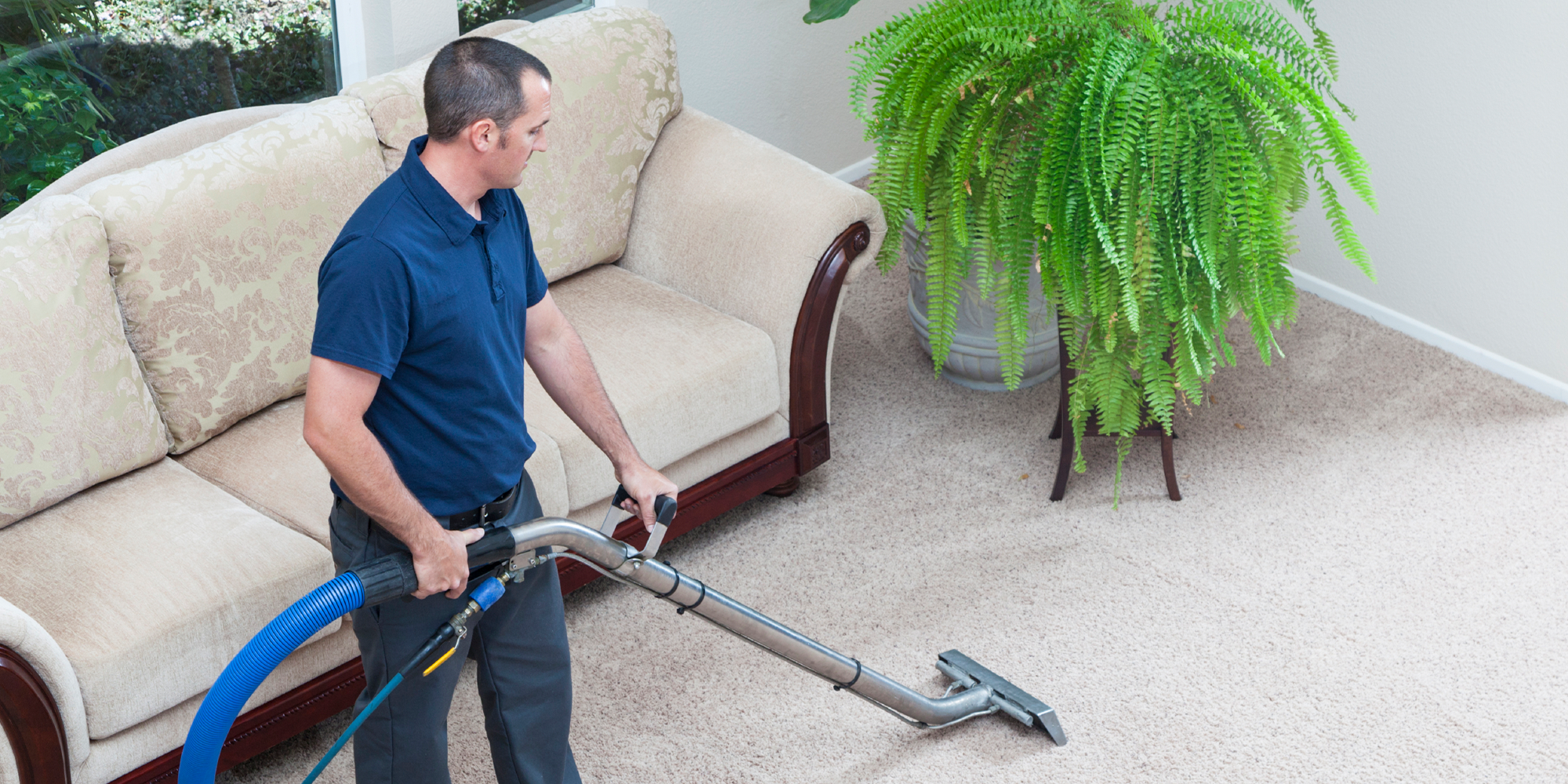 Carpet Cleaning