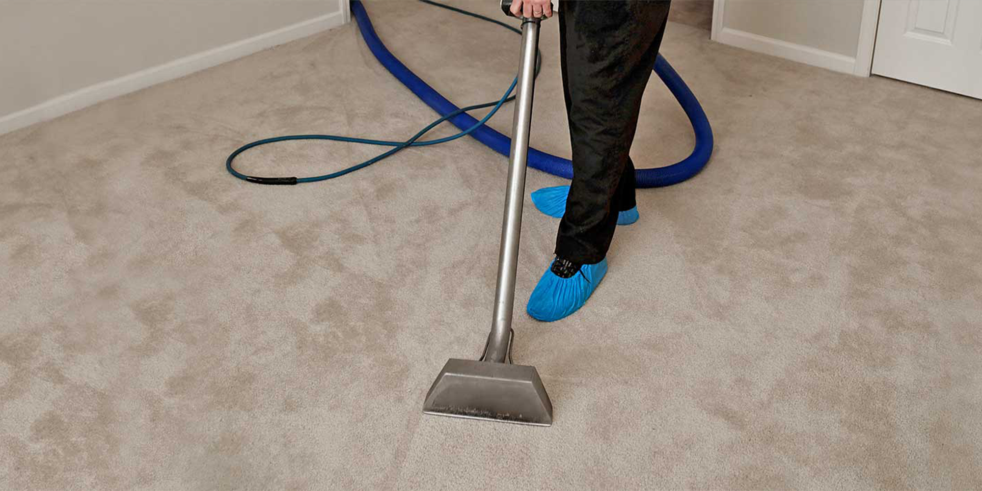 Carpet Cleaning